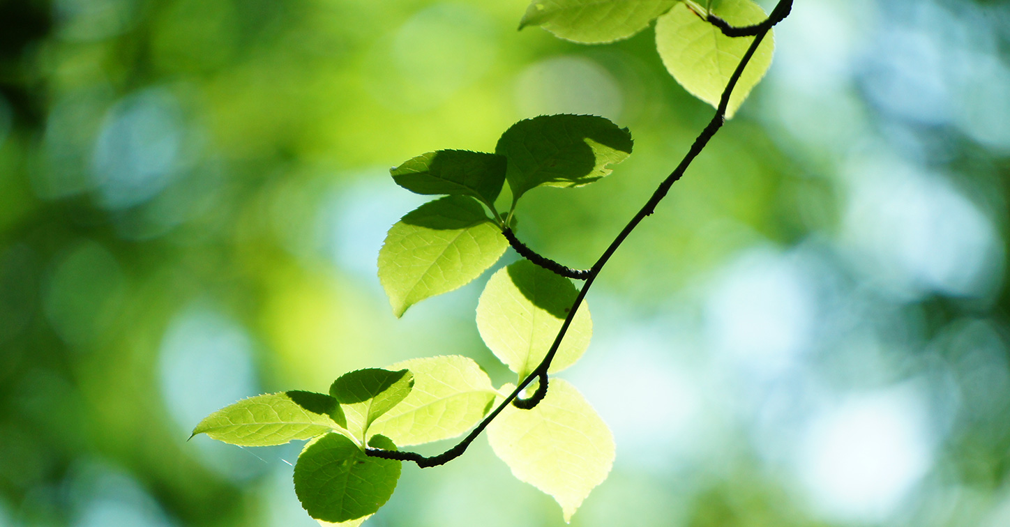 晴れやかな、笑顔の明日へ。
